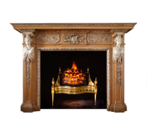 Fireplaces and Surrounds